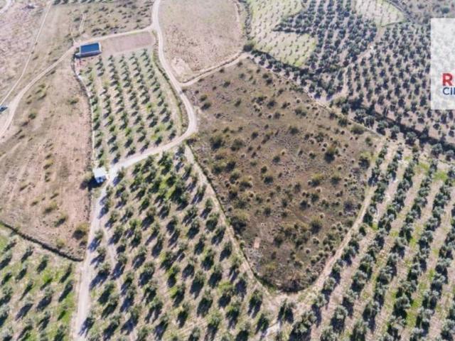 Terreno en venta en Comarca de Baza, Andalucía