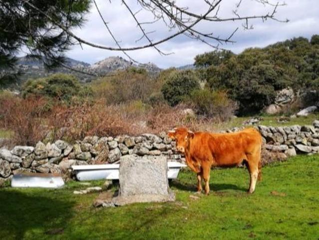 Terreno en venta en Fresnedillas De La Oliva