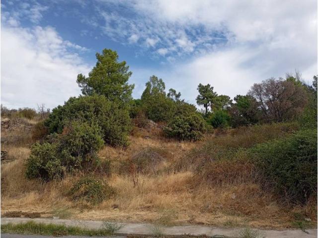 Terreno en venta en Fresnedillas De La Oliva, Madrid