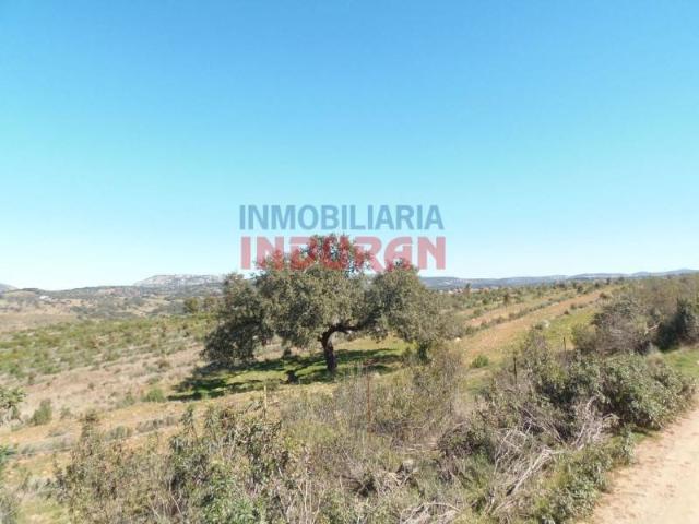 Terreno en venta en Fresnedoso De Ibor, Extremadura