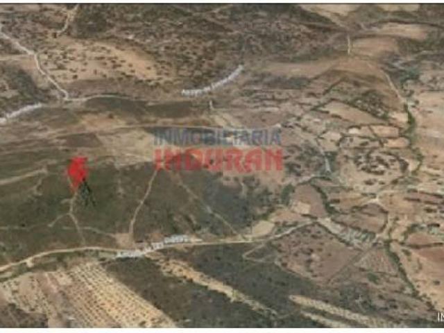 Terreno en venta en Fresnedoso De Ibor, Extremadura