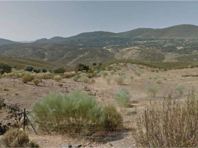 Terreno en venta en Fresnedoso De Ibor, Extremadura