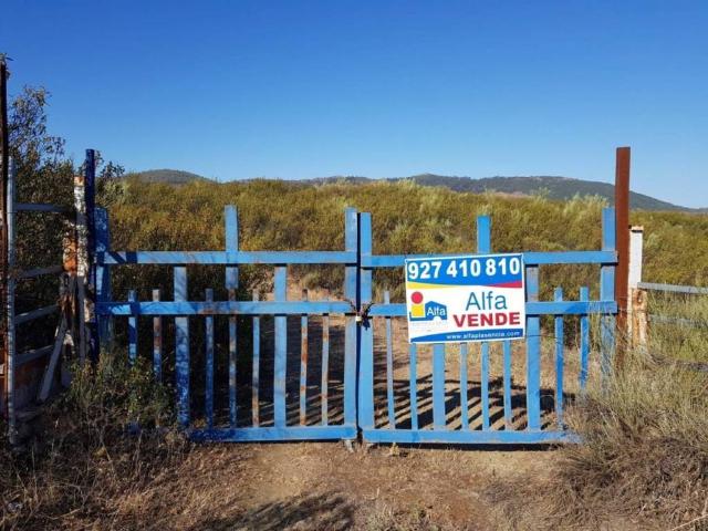Terreno en venta en Fresnedoso De Ibor, Extremadura
