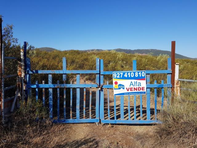 Terreno en venta en Fresnedoso De Ibor, Extremadura