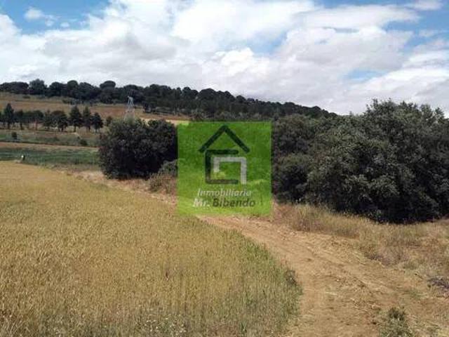 Terreno en venta en Fresno De La Ribera, Castilla y León