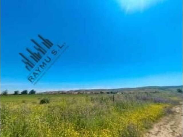 Terreno en venta en Fresno De Torote, Madrid