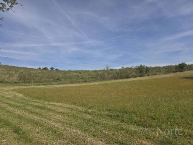 Terreno en venta en Fresno De Torote, Madrid