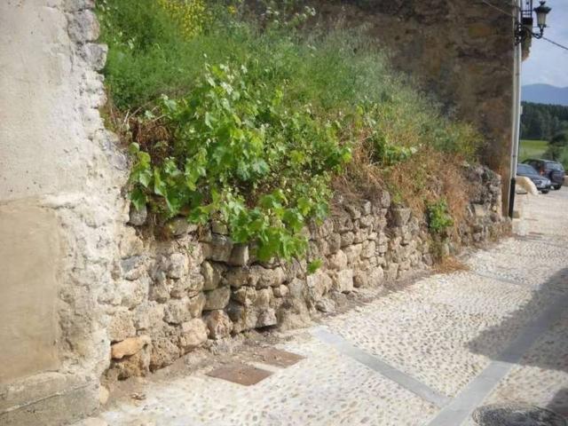 Terreno en venta en Frías, Castilla y León