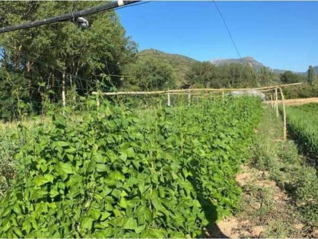Terreno en venta en Frías, Castilla y León