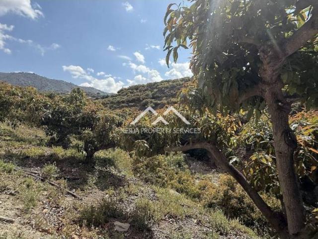 Terreno en venta en La Axarquía, Andalucía