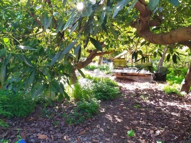 Terreno en venta en Frigiliana