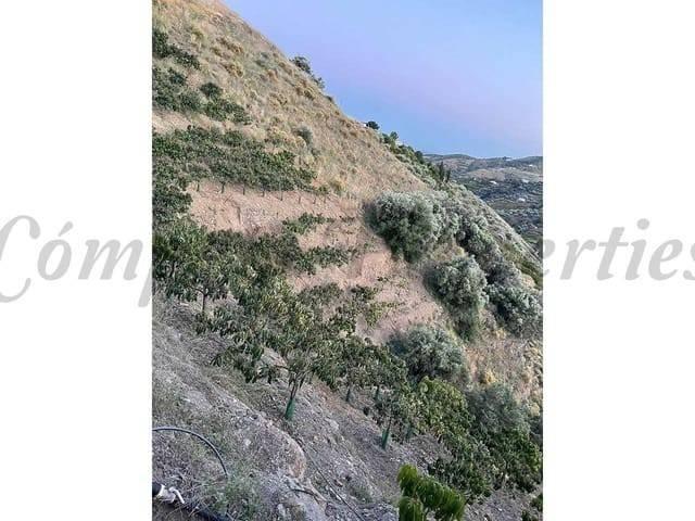 Terreno en venta en Frigiliana