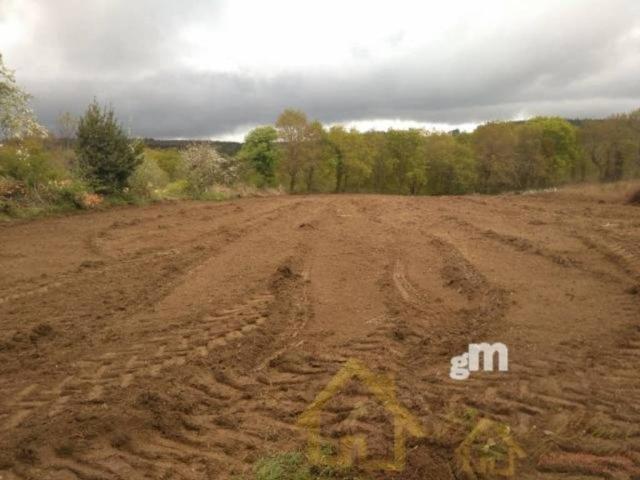 Terreno en venta en Lugo, Galicia