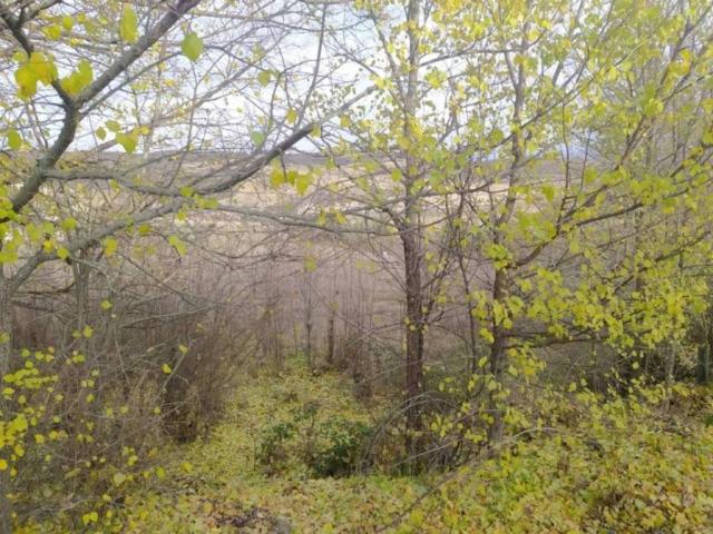 Terreno en venta en Fuencemillán, Castilla-La Mancha