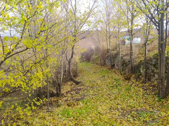 Terreno en venta en Fuencemillán