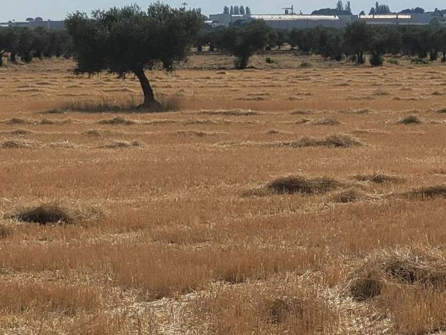 Terreno en venta en Fuensalida Terreno en venta en Fuensalida