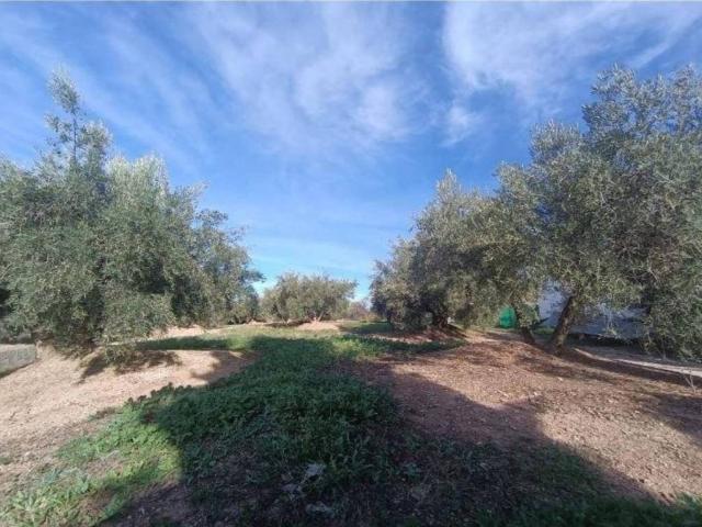 Terreno en venta en Fuensanta De Martos, Andalucía