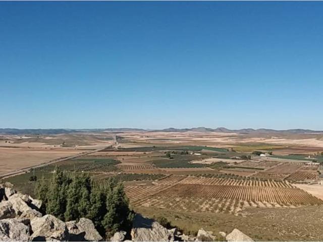 Terreno en venta en Fuente-álamo, Castilla-La Mancha