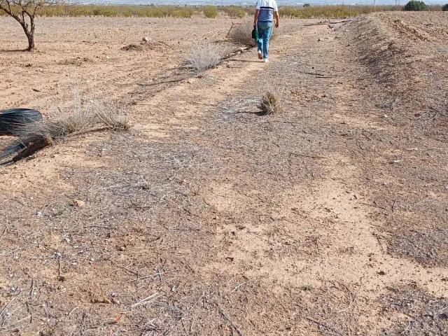 Terreno en venta en Palas - Pinilla, Campo de Cartagena y Mar Menor