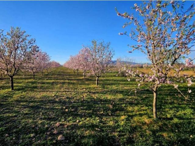 Terreno en venta en Campo de Cartagena y Mar Menor, Murcia