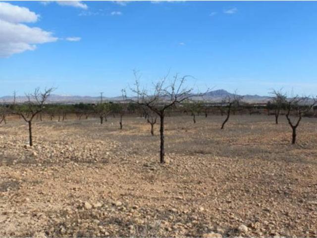 Terreno en venta en Cánovas, Campo de Cartagena y Mar Menor