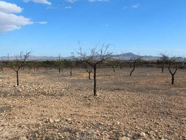 Terreno en venta en Cánovas, Campo de Cartagena y Mar Menor