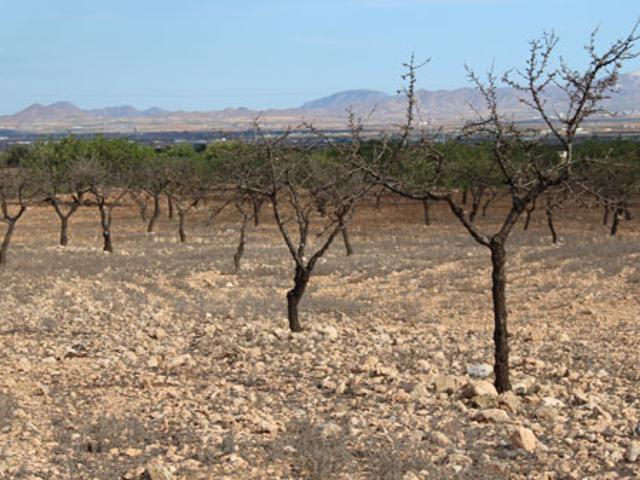 Terreno en venta en Campo de Cartagena y Mar Menor, Murcia