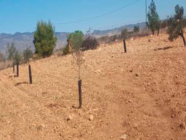 Terreno en venta en Campo de Cartagena y Mar Menor, Murcia