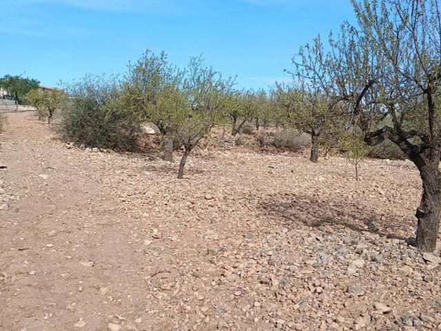 Terreno en venta en Las Palas, Fuente Álamo de Murcia