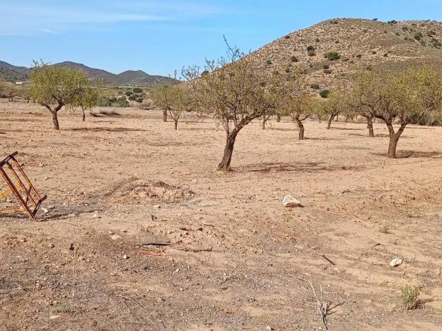 Terreno en venta en Las Palas, Fuente Álamo de Murcia