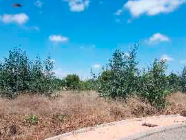 Terreno en venta en Hacienda del Álamo, Fuente Álamo de Murcia