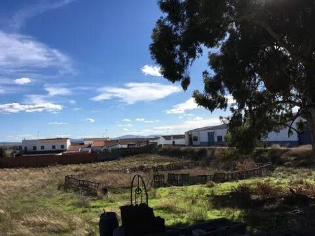 Terreno en venta en Fuente De Cantos, Extremadura
