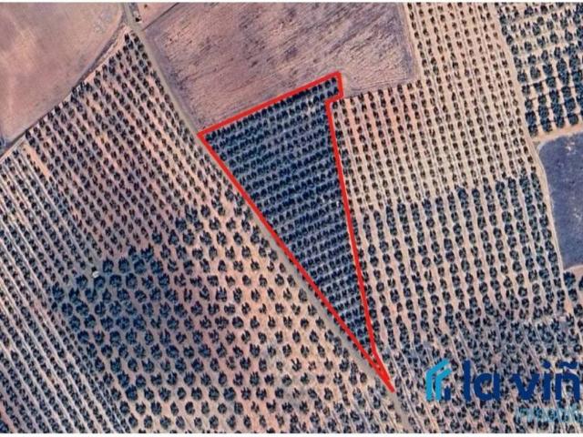Terreno en venta en Antequera, Andalucía