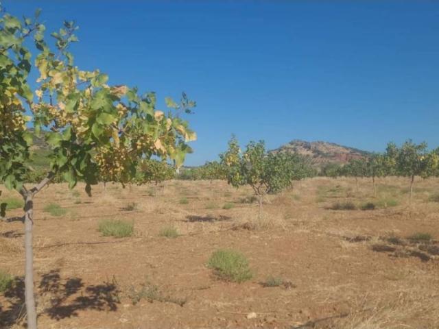 Terreno en venta en Fuente El Fresno, Castilla-La Mancha