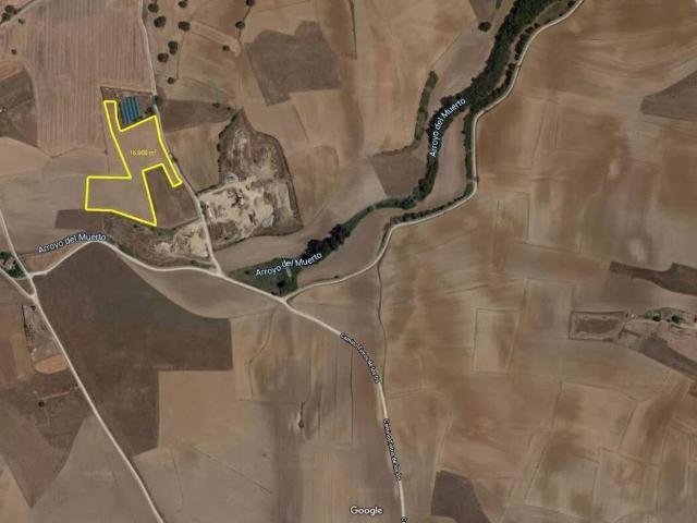 Terreno en venta en Fuente El Saz De Jarama, Madrid