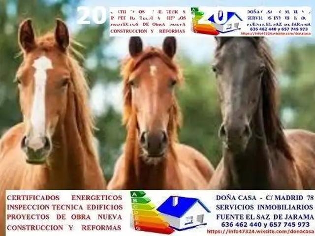 Terreno en venta en Fuente El Saz De Jarama, Madrid
