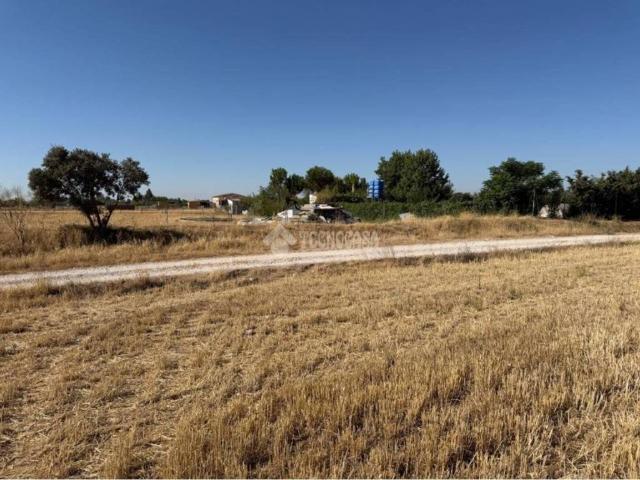 Terreno en venta en Fuente El Saz De Jarama, Madrid