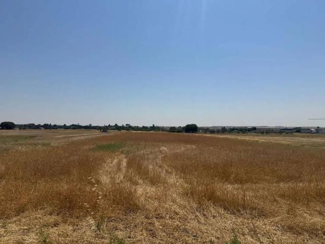 Terreno en venta en Fuente El Saz De Jarama, Madrid