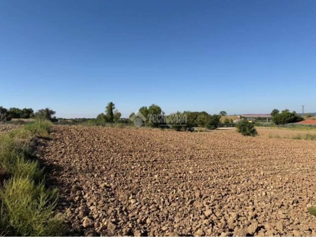 Terreno en venta en Fuente El Saz De Jarama, Madrid