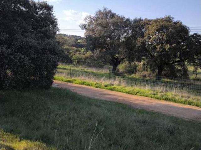 Terreno en venta en Fuente Obejuna, Andalucía