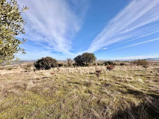 Terreno en venta en Fuente Obejuna, Andalucía
