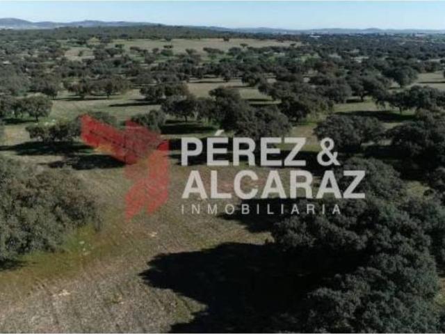 Terreno en venta en Fuente Obejuna, Andalucía