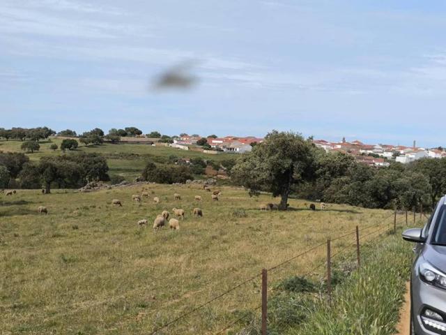 Terreno en venta en Fuente Obejuna, Andalucía