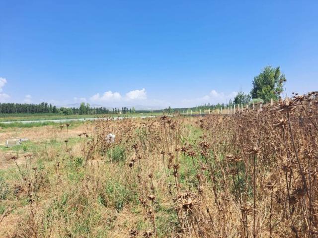 Terreno en venta en Comarca de la Vega de Granada, Andalucía