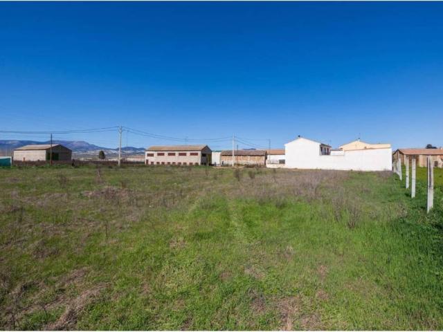 Terreno en venta en Comarca de la Vega de Granada, Andalucía