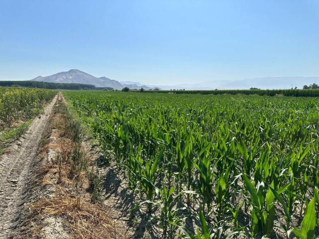 Terreno en venta en Comarca de la Vega de Granada, Andalucía