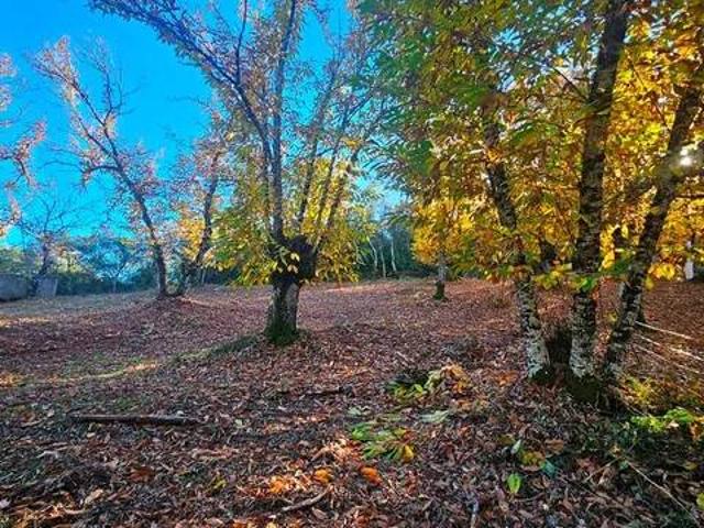 Terreno en venta en Sierra de Huelva, Andalucía