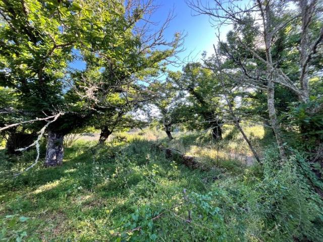 Terreno en venta en Fuenteheridos