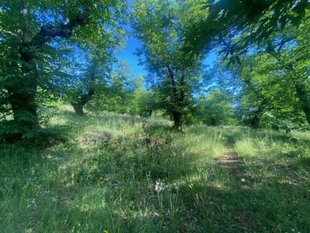 Terreno en venta en Sierra de Huelva, Andalucía