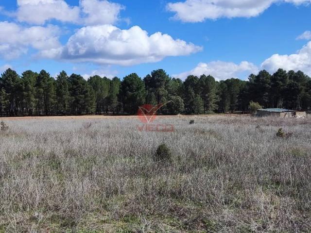 Terreno en venta en Fuentenava De Jábaga